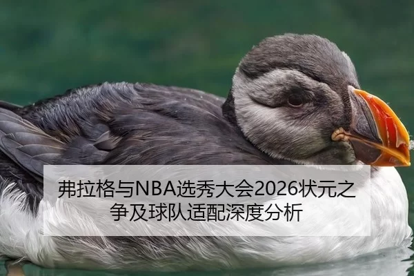 弗拉格与NBA选秀大会2026状元之争及球队适配深度分析