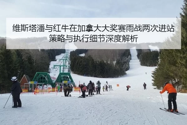wei-si-ta-pan-yu-hong-niu-zai-jia-na-da-da-jiang-sai-yu-zhan-liang-ci-jin-zhan-ce-lve-yu-zhi-xing-xi-jie-shen-du-jie-xi-2-378.jpg